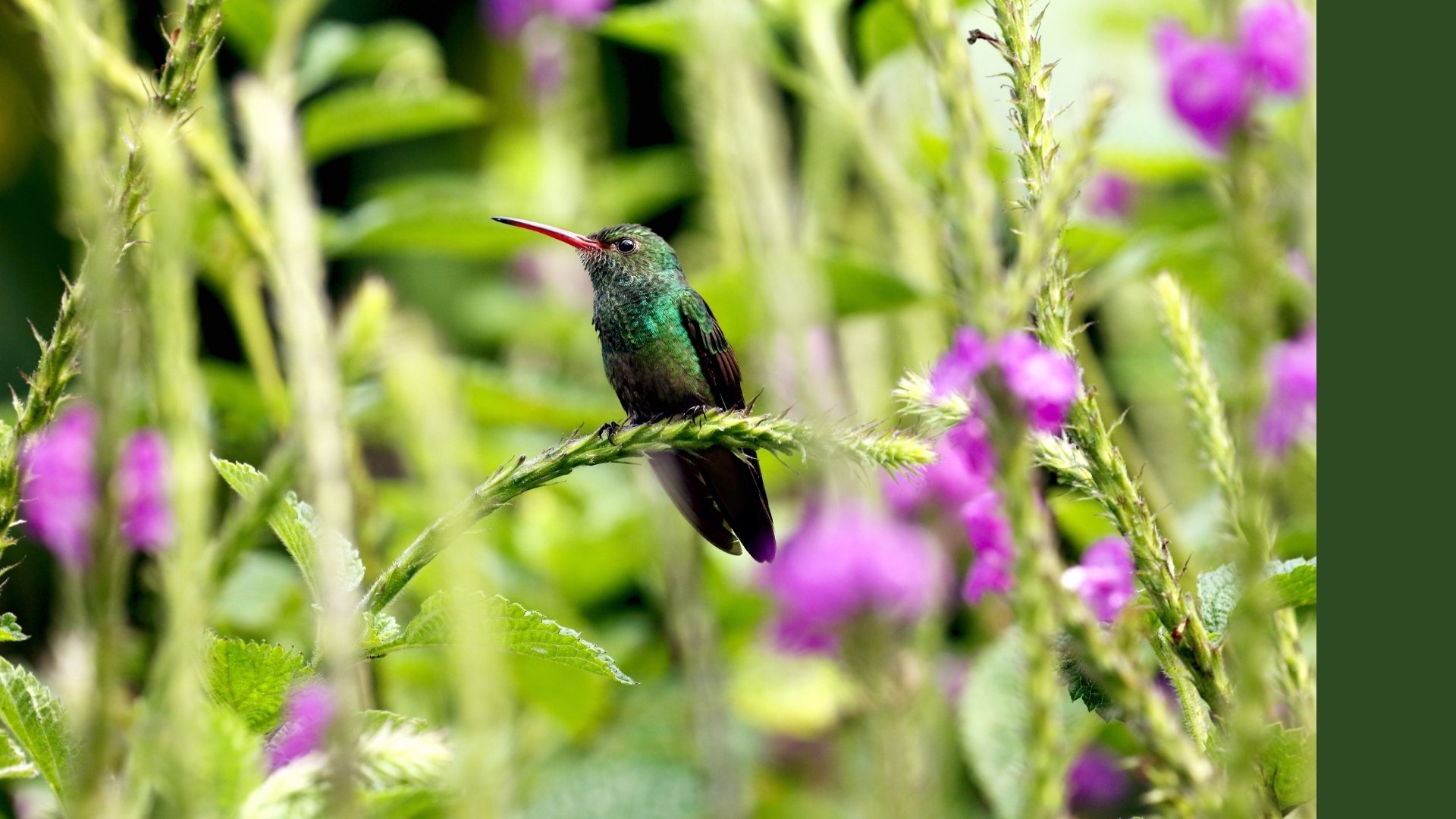 2-Nov-28-2025-05-37-15-0281-PM