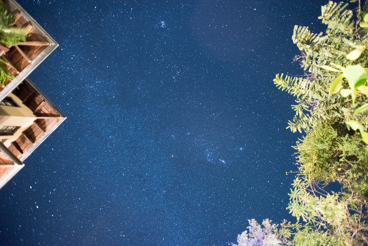 21_120_Las Catalinas_Fotos Pablo Cambronero_web