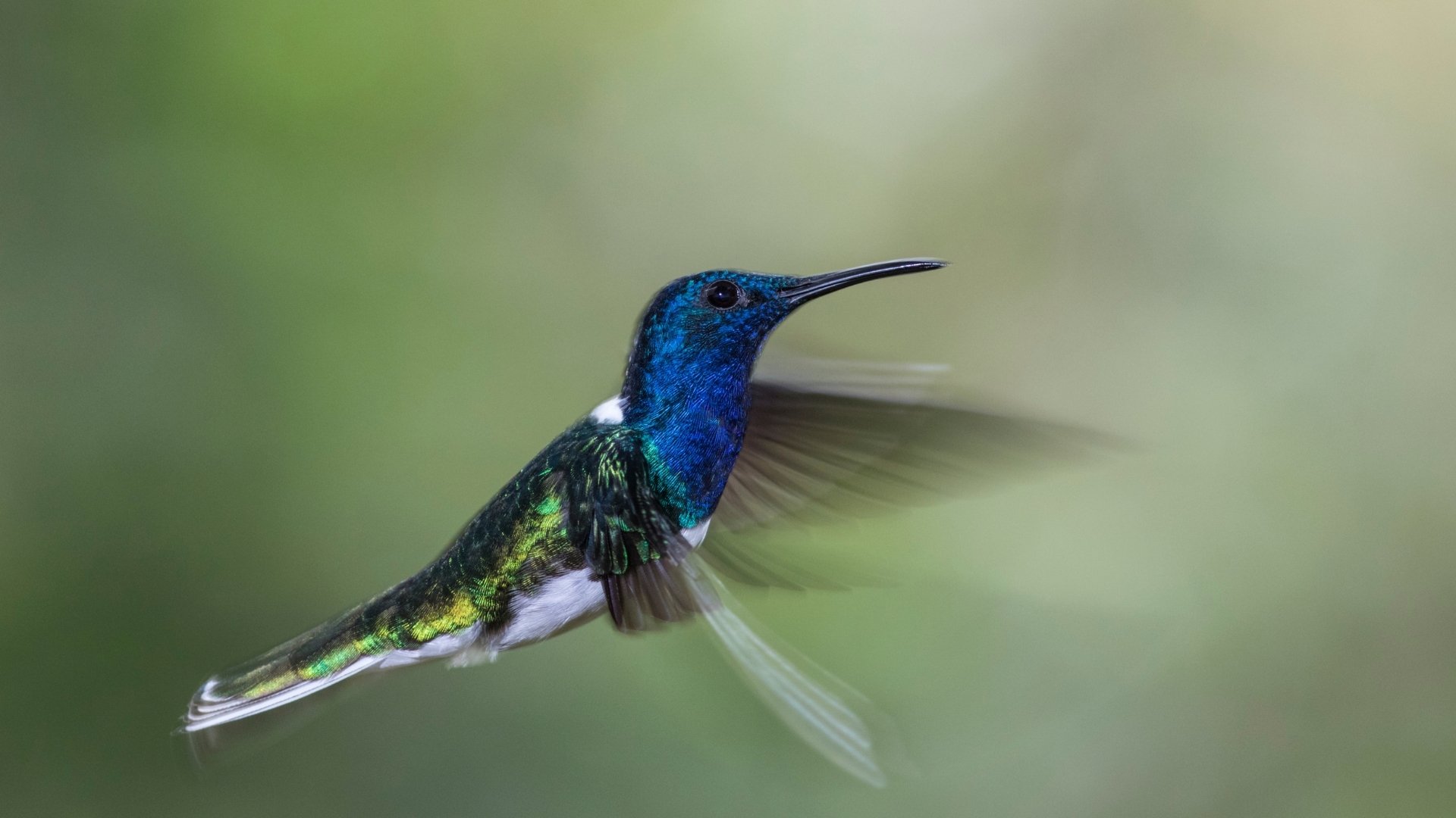 8-Nov-28-2025-05-36-15-6702-PM