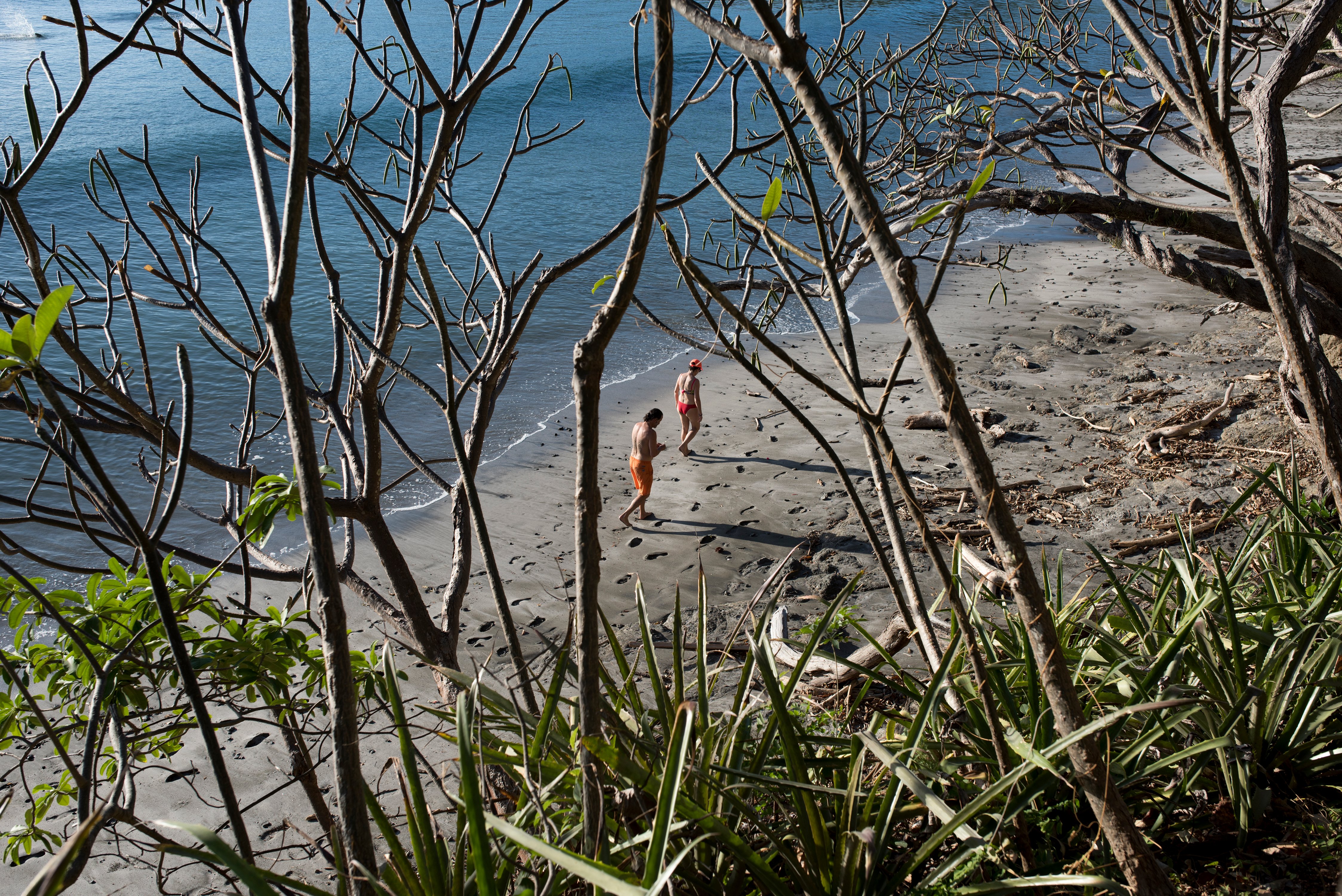 Beach walk (1)