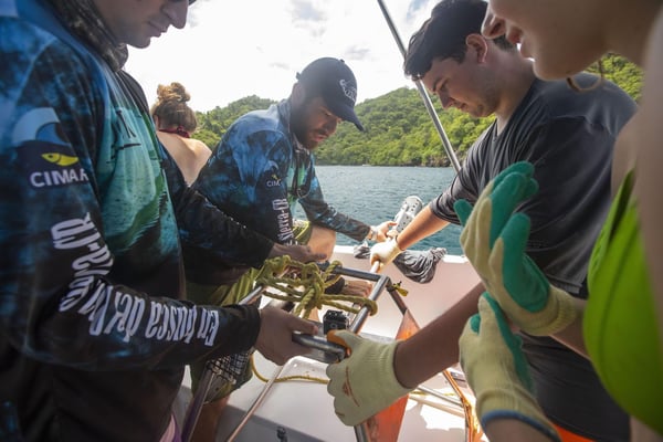 During a Discover Scuba Diving trip with ConnectOcean, new divers can do more than just try diving, and contribute to the research efforts out on the water. One example is assisting with the deployment of BRUVS, like above