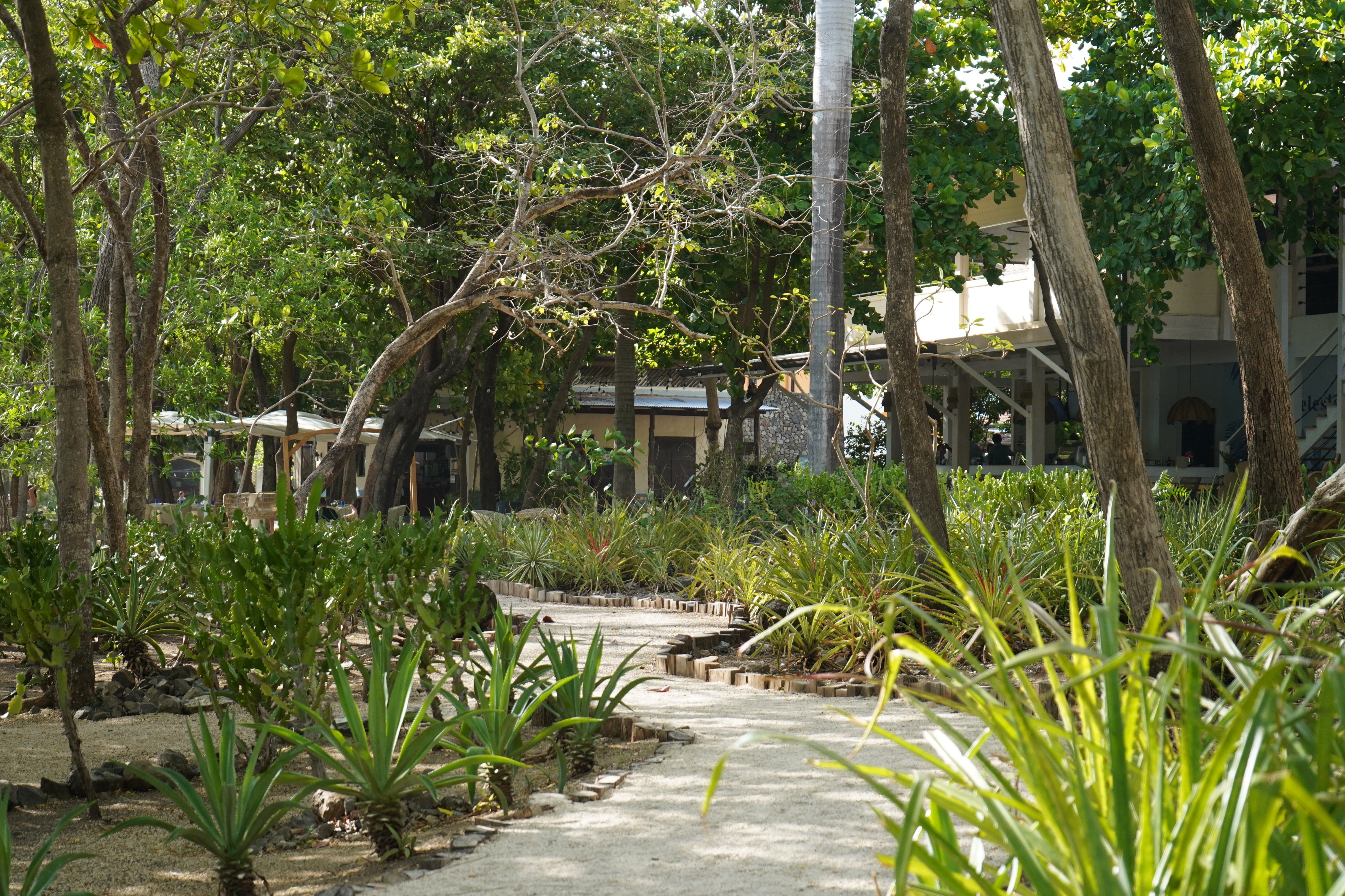 DSC07925