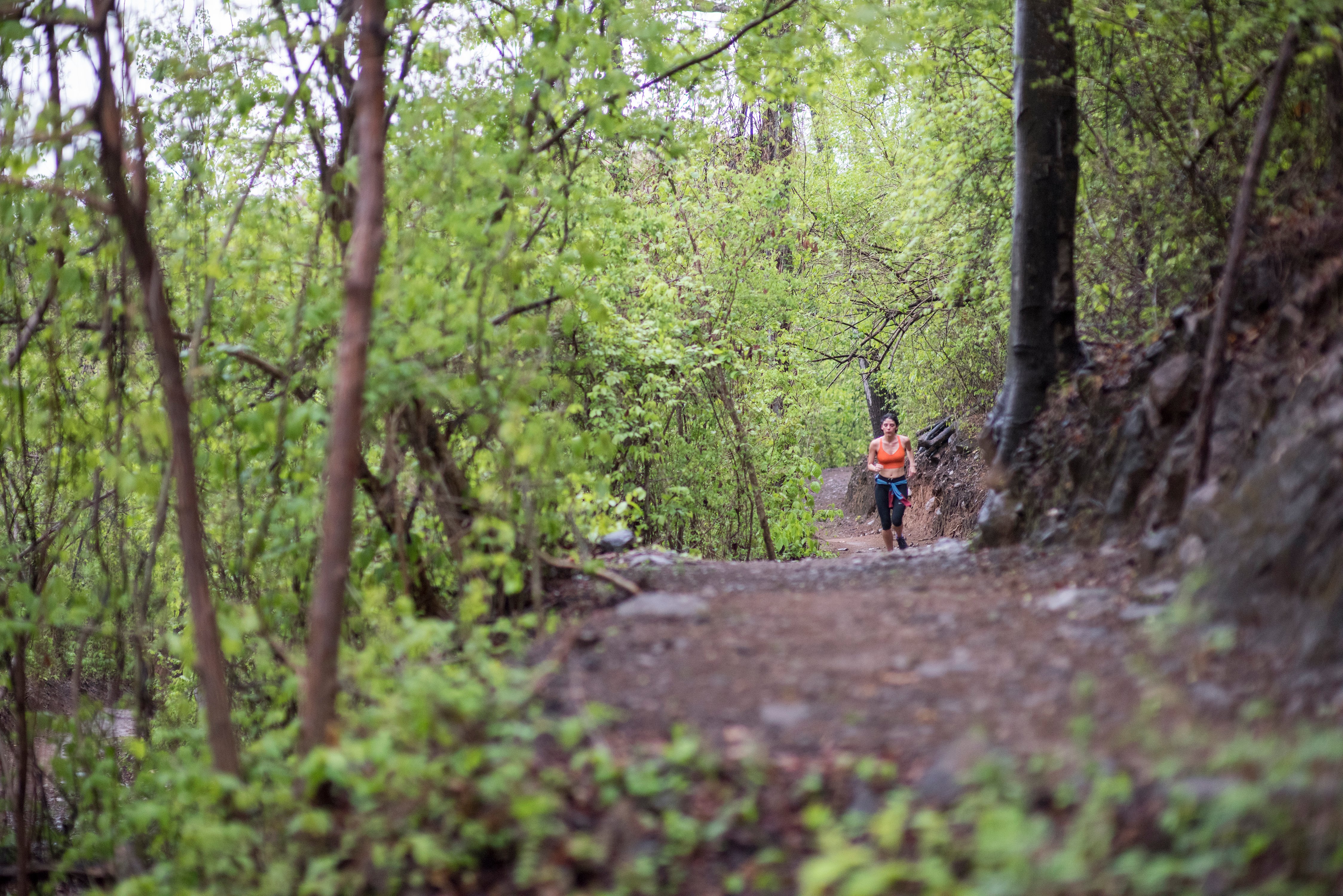 Exp_Trail Hiking & Running_Image 4-1