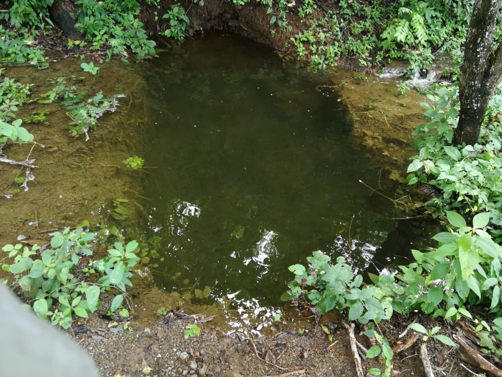 Image (12)-1