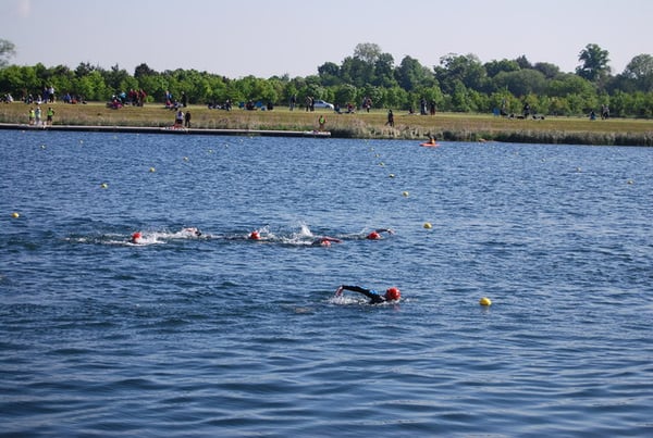 Image result for open water swim