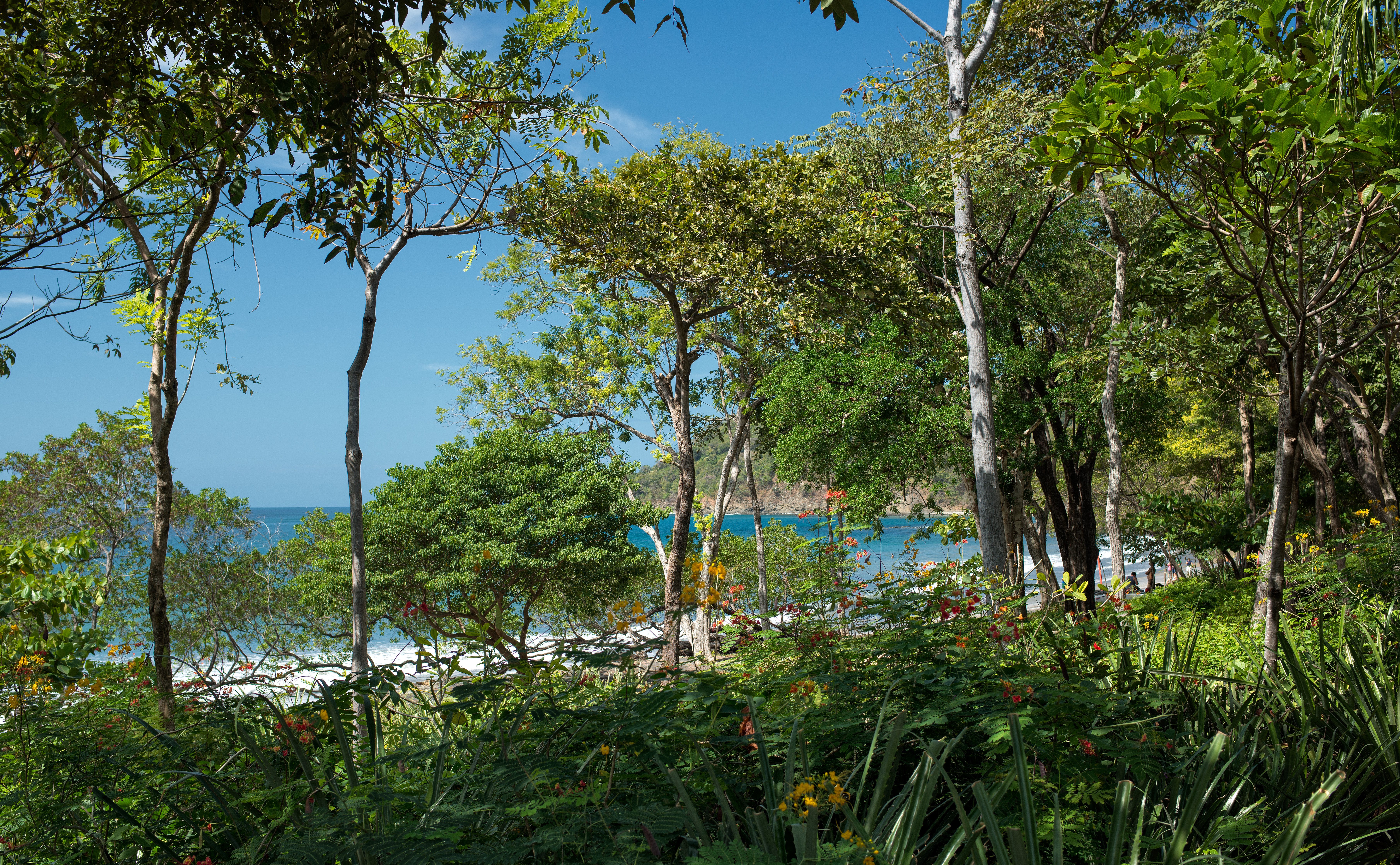 Las Catalinas.012 copia