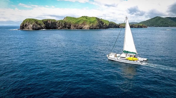 Set out for a day to explore nature, experience the beauty of the Guanacaste coast, and learn about how to protect these vibrant environments