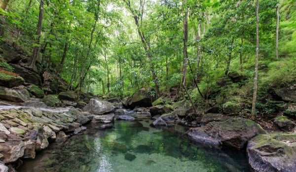 Hot Springs in Rio Perdido